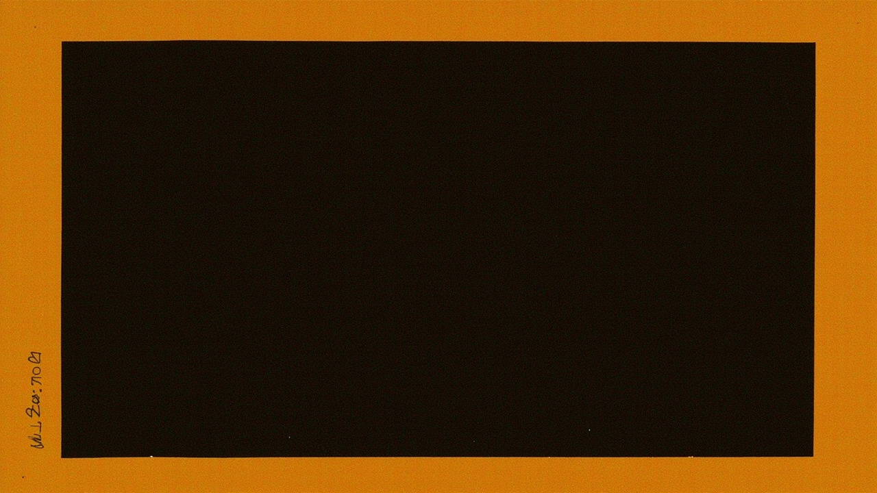 Anas Marijas Bragas Cilvēka dizains: Manifesting Generator 2/5
