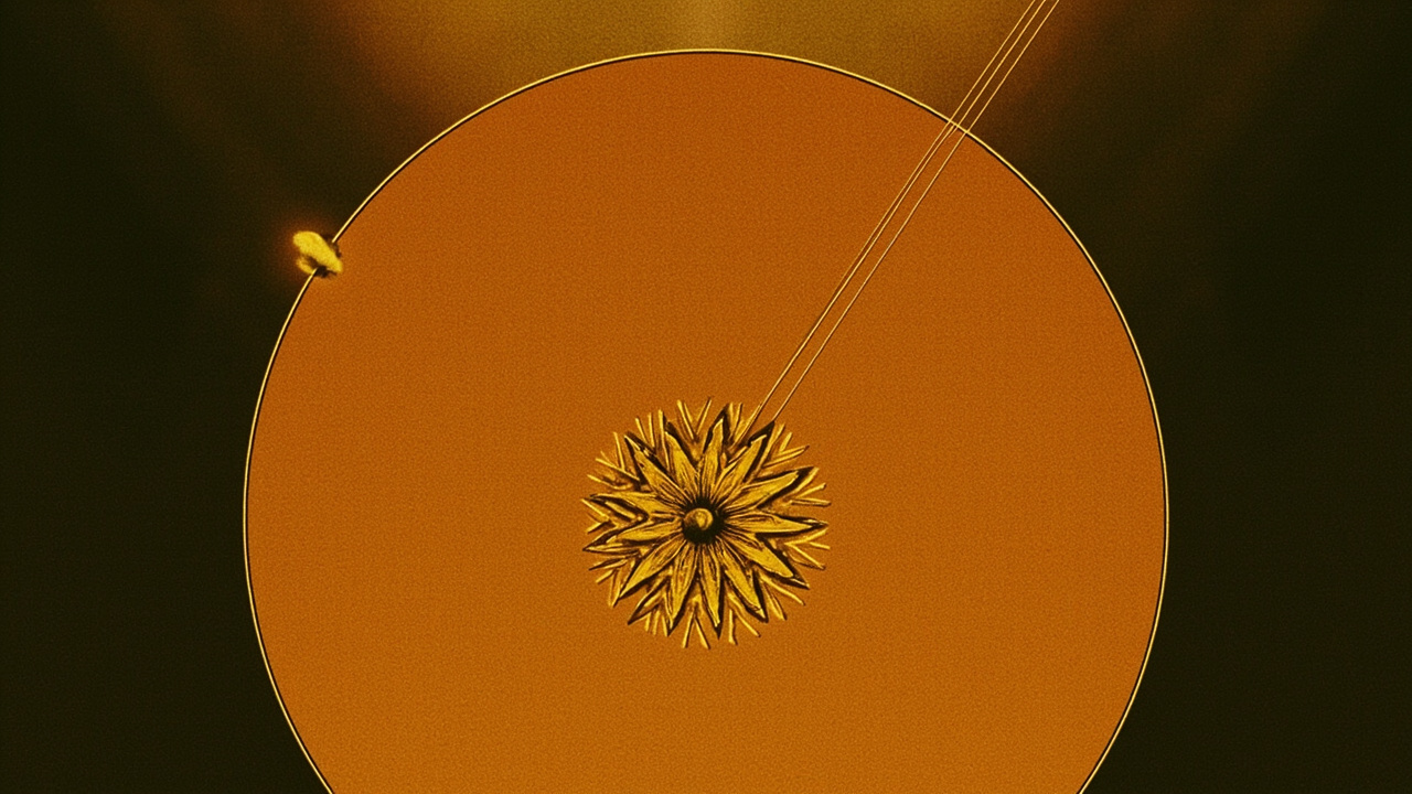 Beyazit Ozturks Human Design: Manifesting Generator 2/4