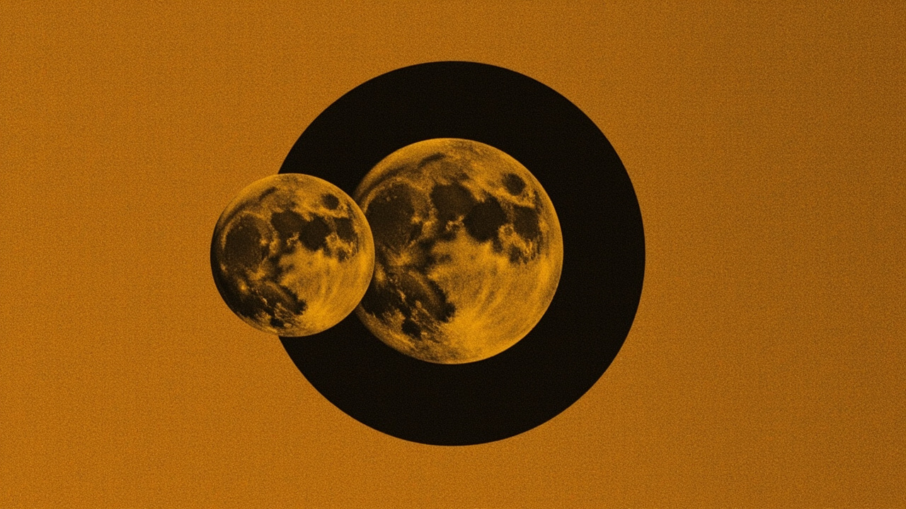 Reflector Type: Aligning Decisions With the Lunar Cycle
