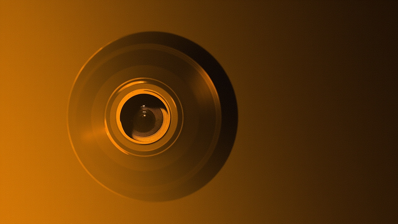 The Rooster as a Human Design Projector: Where Two Lenses Meet